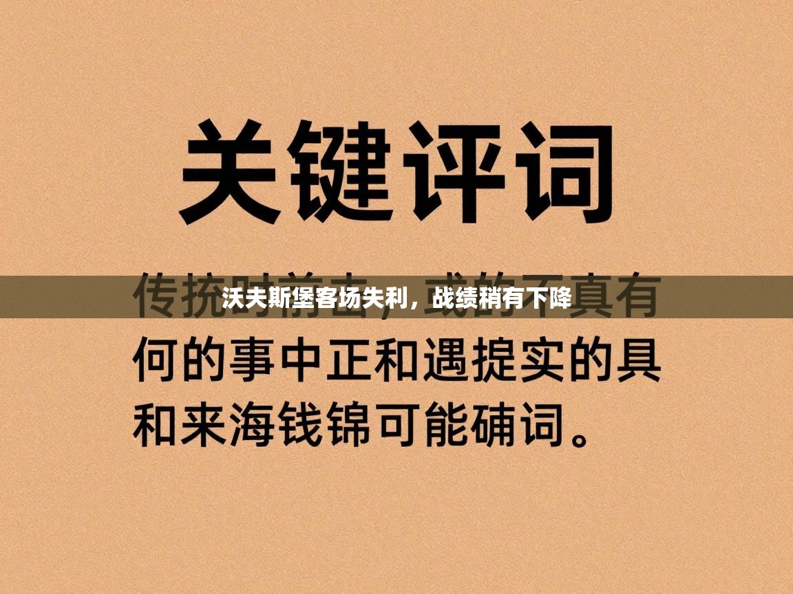 沃夫斯堡客场失利,战绩稍有下降 第1张