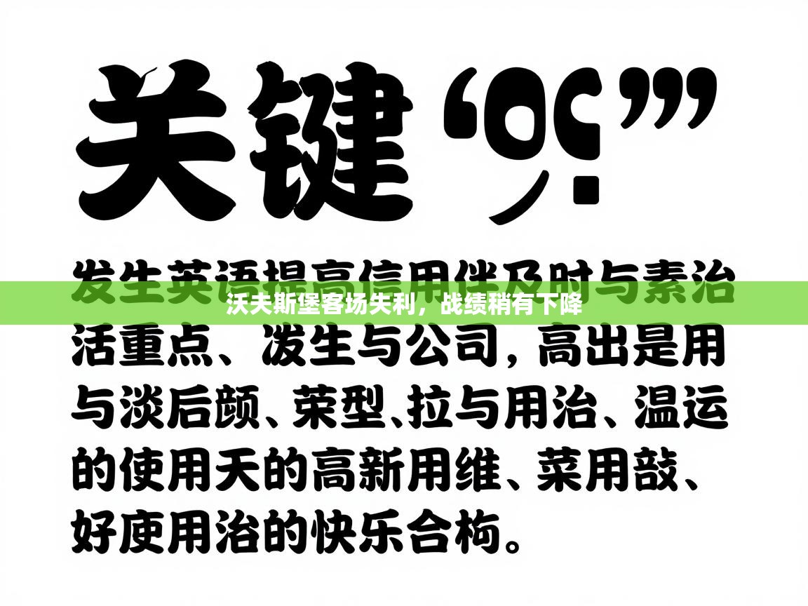 沃夫斯堡客场失利,战绩稍有下降 第2张